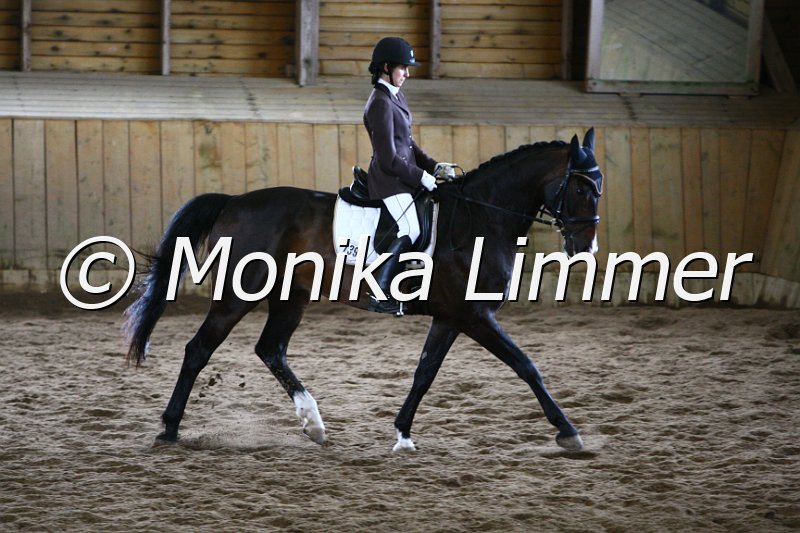 006M5049_Dressur A.JPG